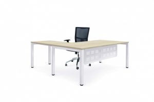 Plaza Workstation + Tec modesty panel + Brighton Mesh