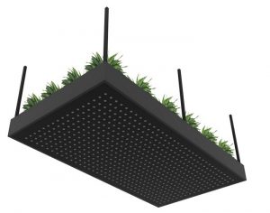 Metal planter Suspended B_web