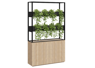 Cafe Vertical Garden