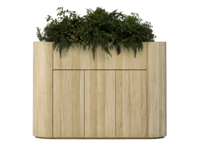 Amina Planter